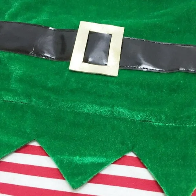 Elf Dog Costume